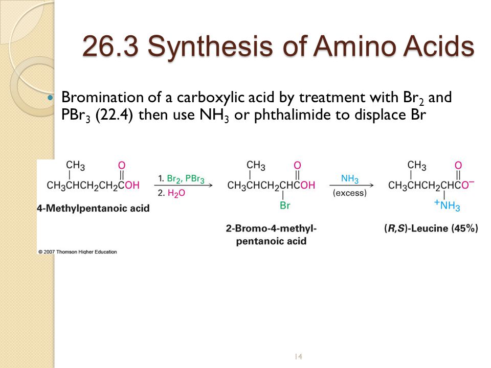How Many Amino Acids Does the Body Require?